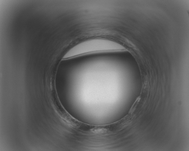 X0000071390452200606230944