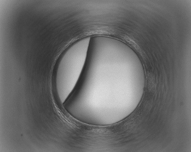 X0000071390482200606230944