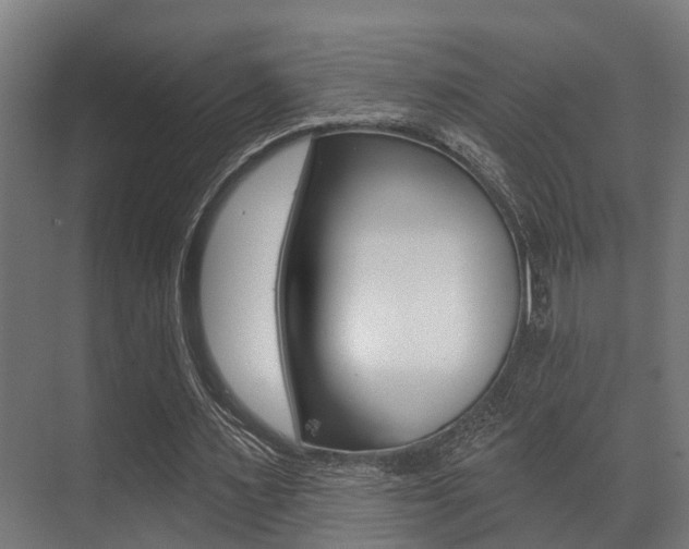 X0000071390483200606230944