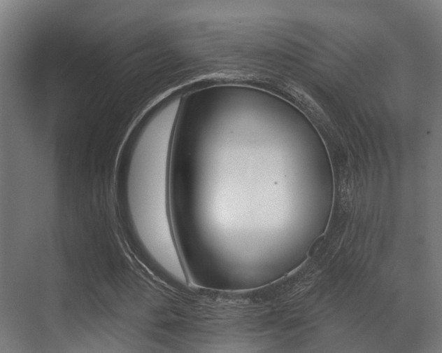 X0000071390484200606230944