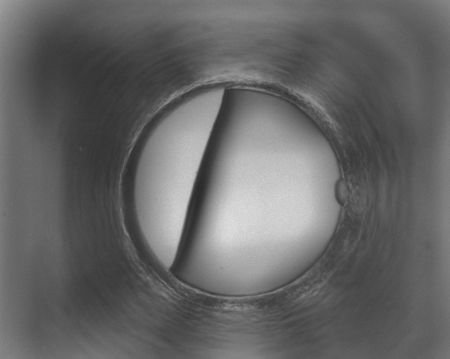 X0000071390487200606230943