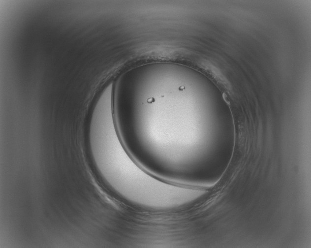 X0000071390493200606230943