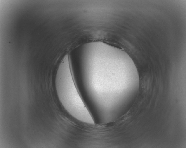 X0000071390516200606230943