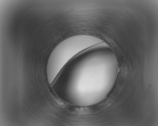 X0000071390517200606230943