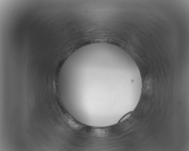 X0000071390522200606230943