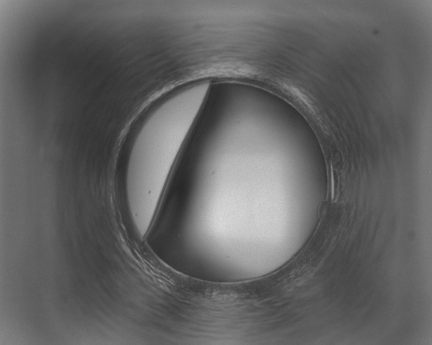 X0000071390531200606230942
