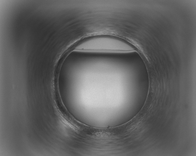 X0000071390535200606230942