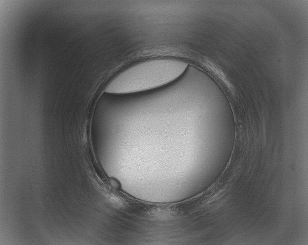 X0000071390537200606230942