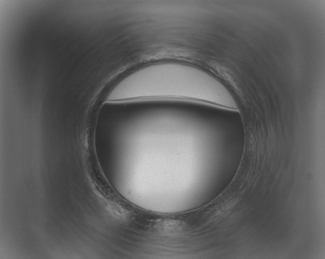 X0000071390539200606230942