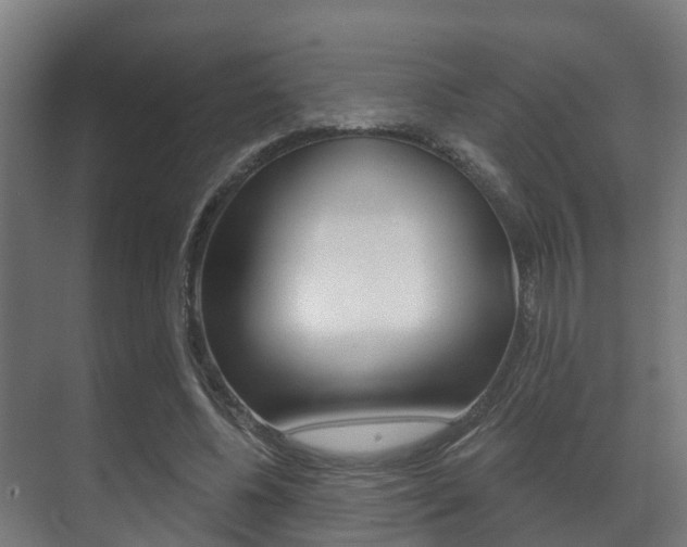 X0000071390540200606230942