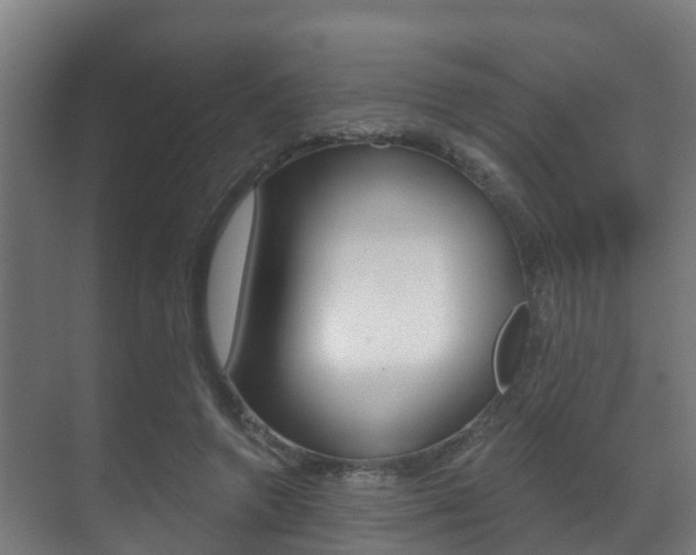 X0000071390546200606230942