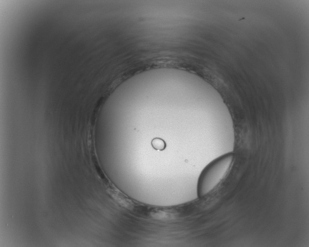 X0000071390561200606230943