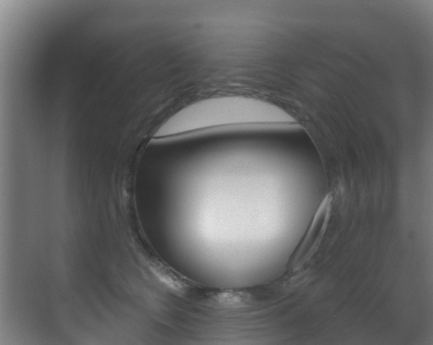 X0000071390566200606230943