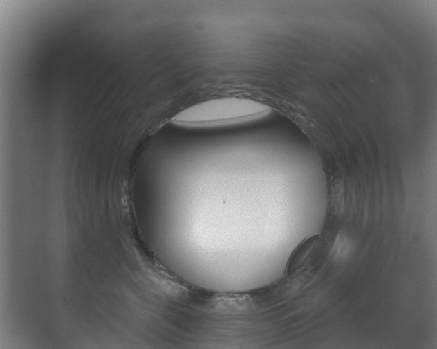 X0000071390571200606230943