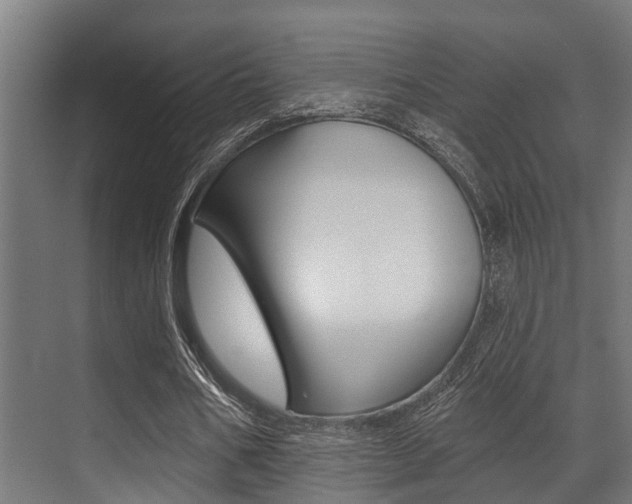 X0000071390578200606230942