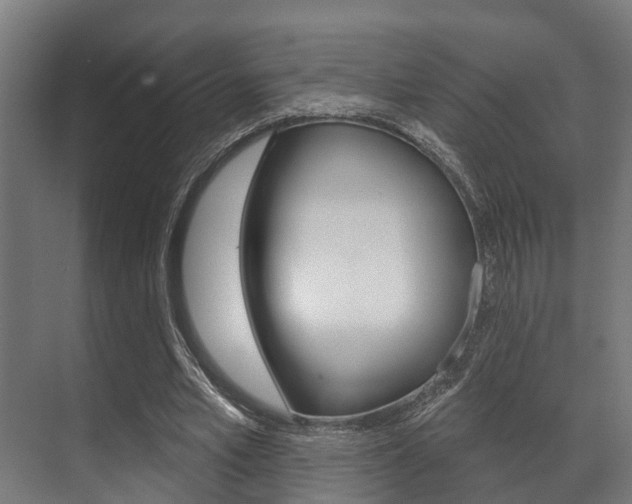 X0000071390581200606230942