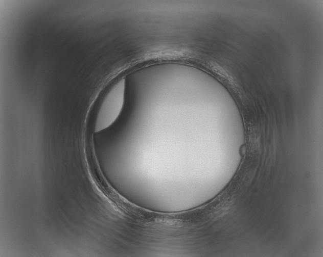 X0000071390582200606230942