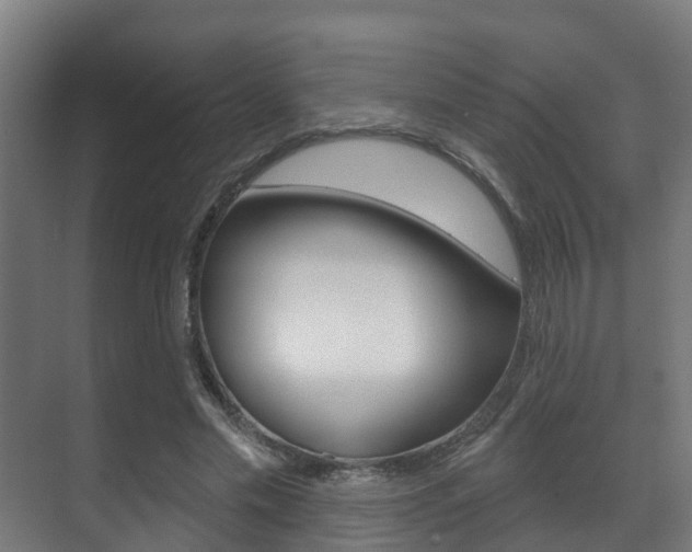 X0000071390589200606230942