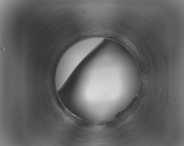 X0000071390593200606230942