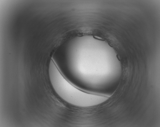 X0000071390609200606230941
