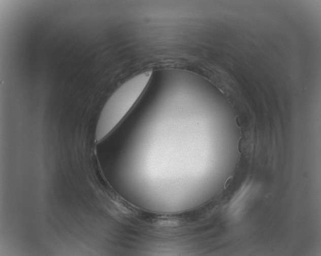 X0000071390653200606230941