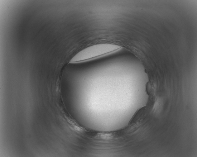 X0000071390665200606230941