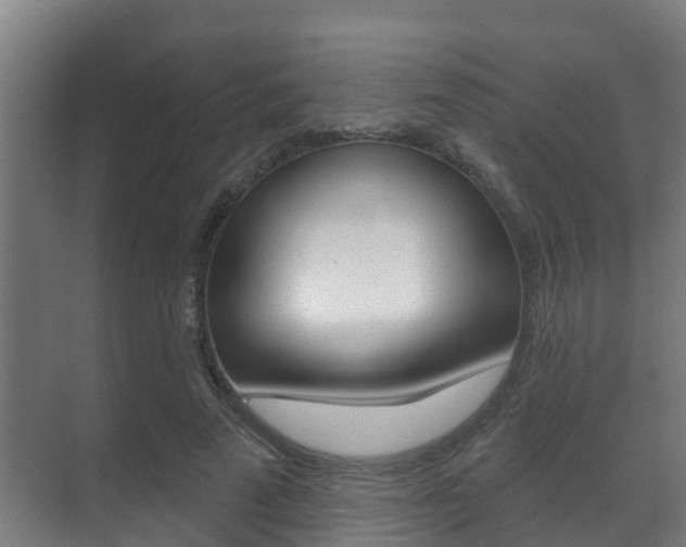 X0000071390689200606230940