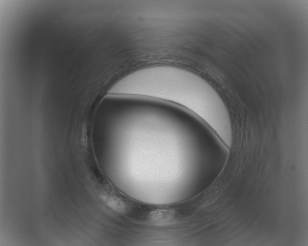 X0000071390700200606230940