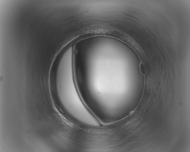 X0000071390722200606230939