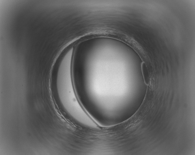 X0000071390724200606230939