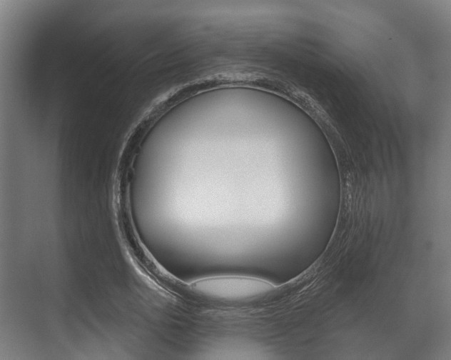 X0000071390726200606230939
