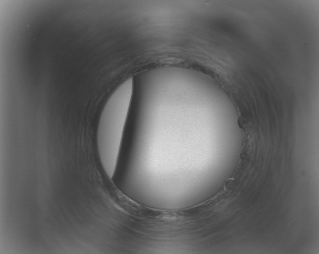 X0000071390745200606230939
