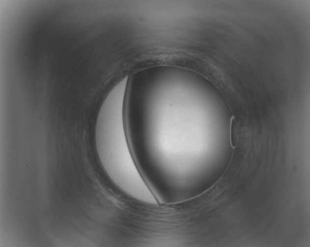 X0000071390750200606230939