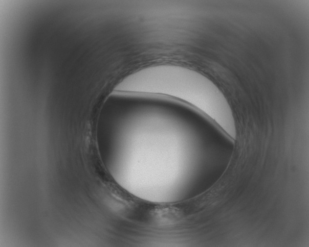 X0000071390752200606230939