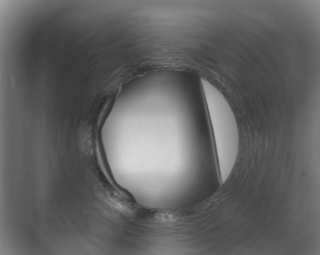 X0000071390764200606230939