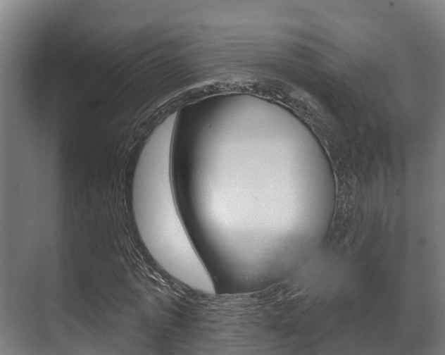 X0000071390773200606230939