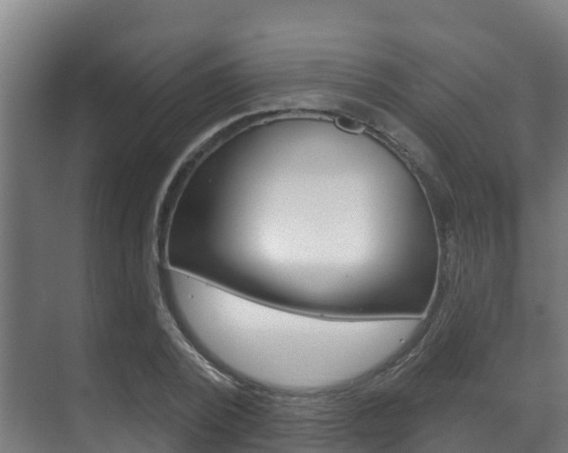 X0000071390784200606230938