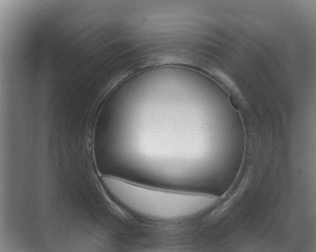 X0000071390793200606230938