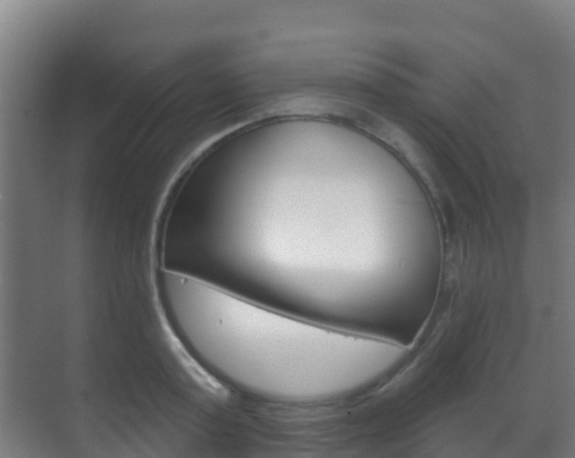 X0000071390795200606230938