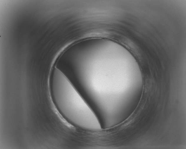 X0000071390796200606230938