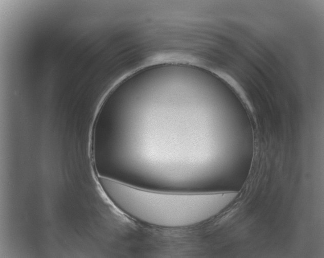 X0000071390815200606230938