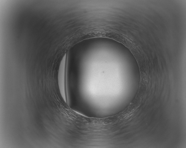 X0000071390818200606230937