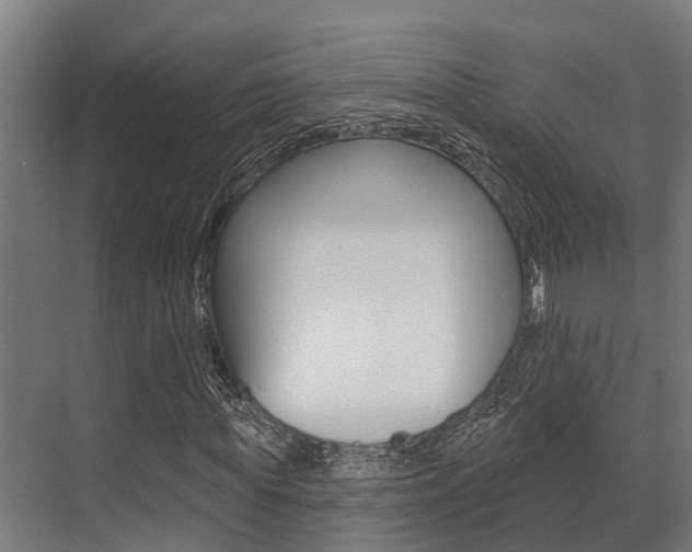 X0000071390819200606230937