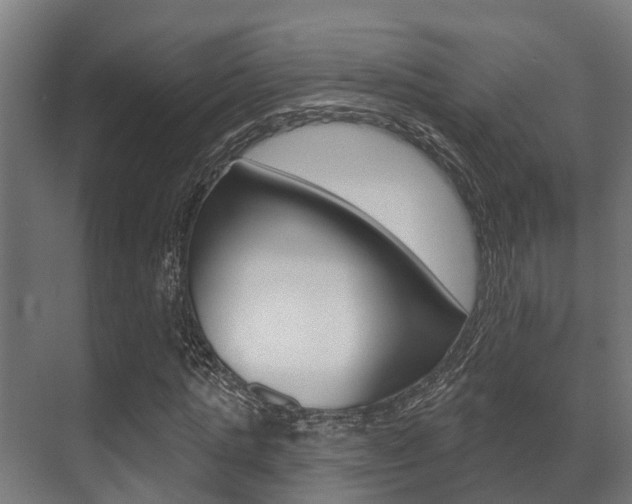 X0000071390821200606230937