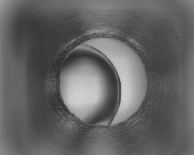 X0000071390822200606230937