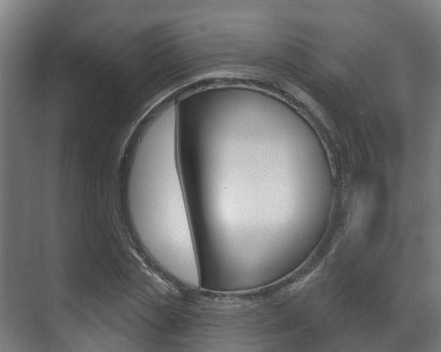 X0000071390829200606230937