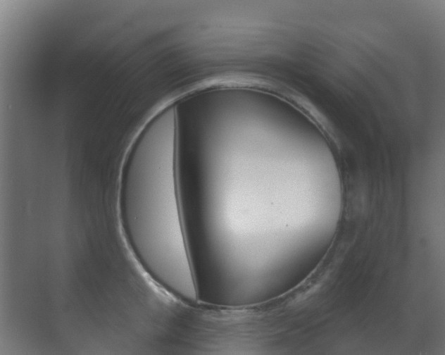 X0000071390853200606230938