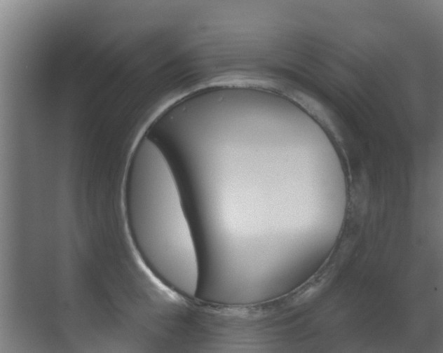 X0000071390855200606230938