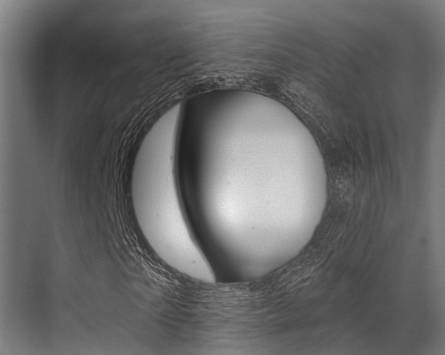 X0000071390865200606230937