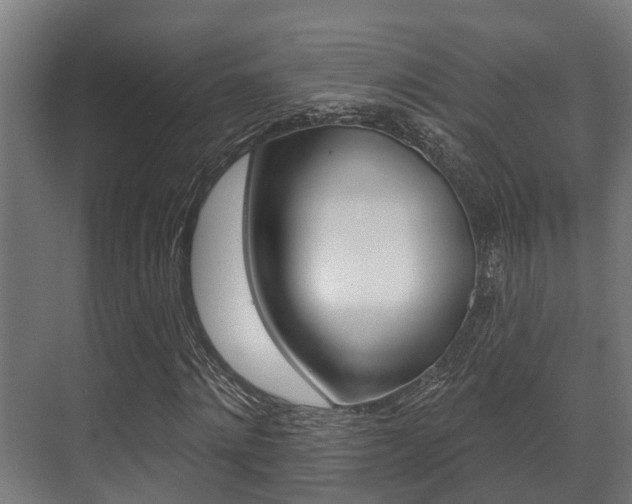 X0000071390868200606230937